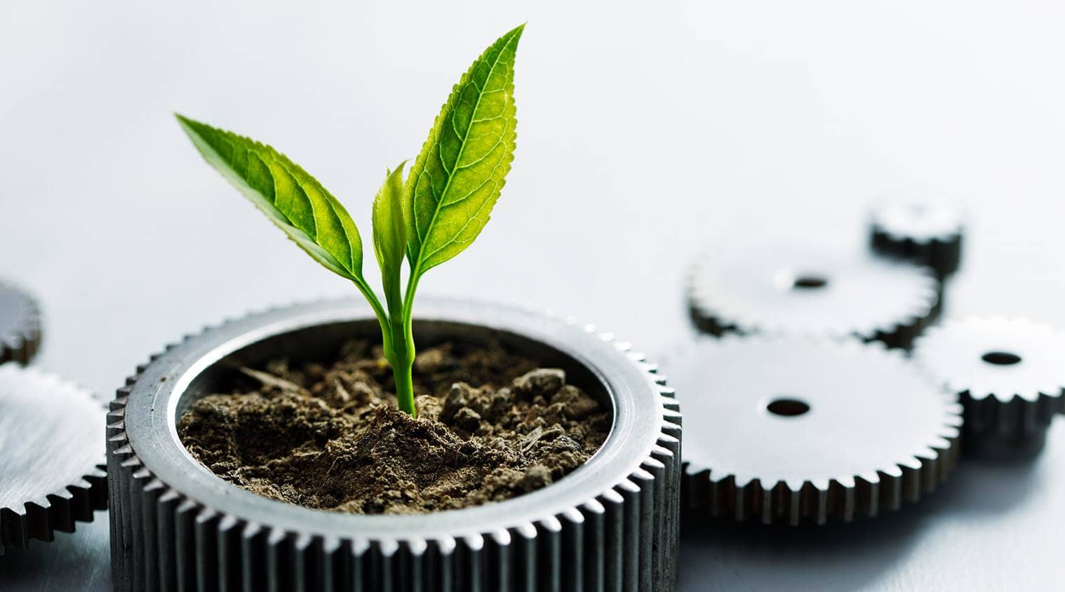 Sustainability and environment