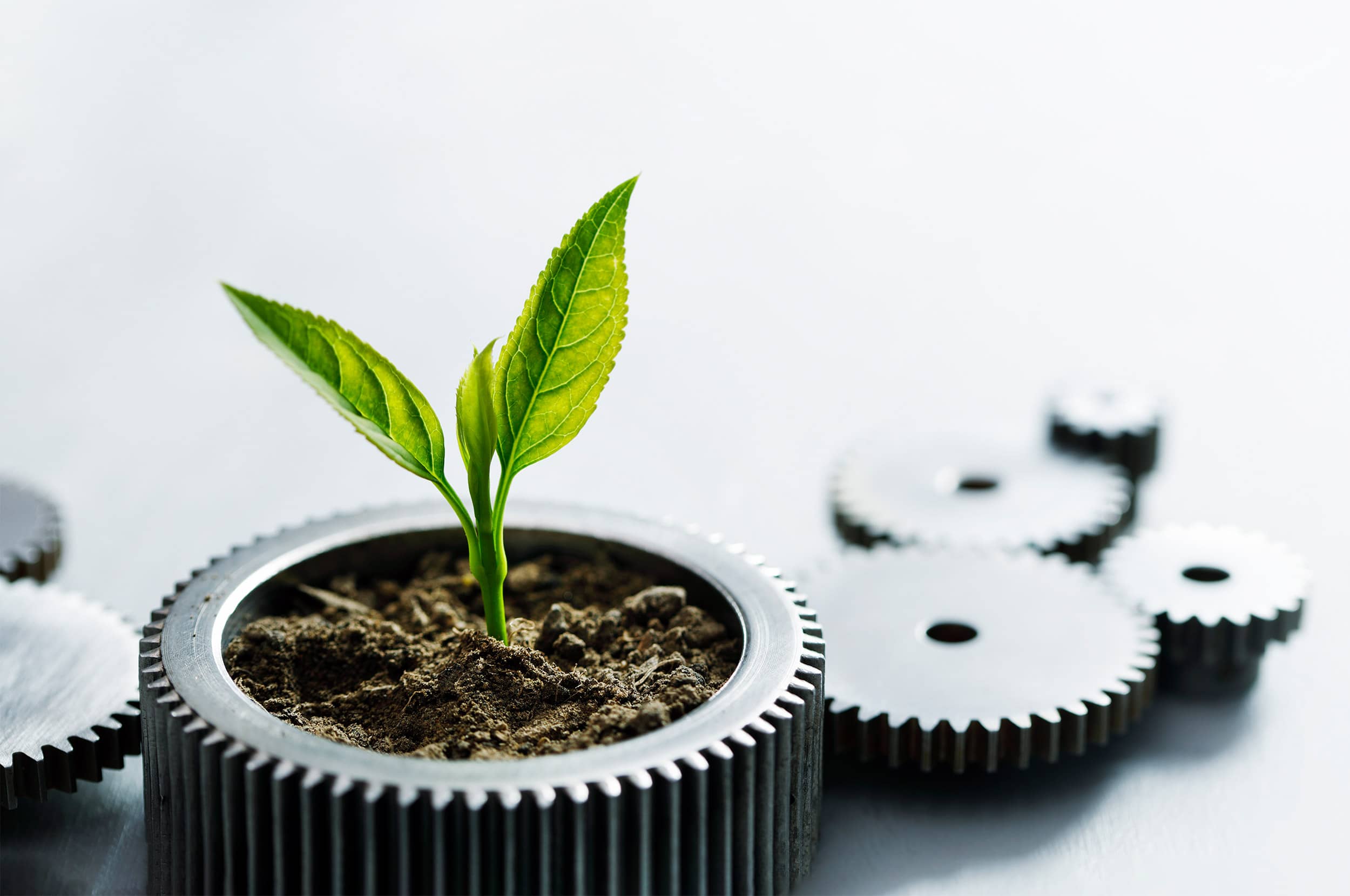 Internal measures for sustainability at SAXOPRINT